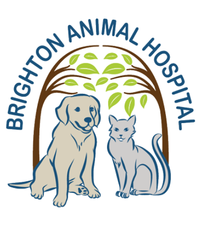 Brighton Animal Hospital